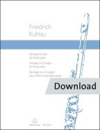 Fantasia per flauto solo Download
