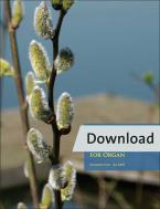 Musica per organo per lode e ringraziamento Download