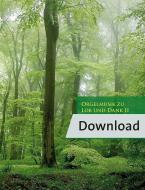 Musica d'organo in lode e ringraziamento 2 Download