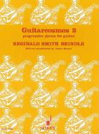 Guitarcosmos Vol. 2 Standard