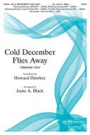 Cold December Flies Away 