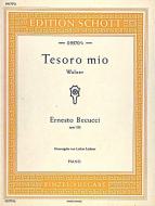 Tesoro Mio D Major Op. 228 Standard