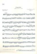 Concerto G Minor Op. 12/1 RV 317 / PV 343 Standard