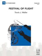 Festival of Flight Download
