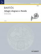 Adagio Elegiaco and Rondo Standard