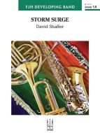 Storm Surge Download