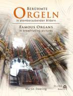 Organi famosi in immagini mozzafiato 