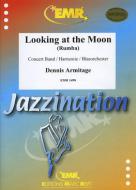 Looking At The Moon Standard