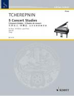 5 Concert Studies Op. 52 Standard