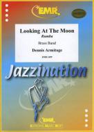 Looking At The Moon Standard