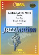 Looking At The Moon Standard