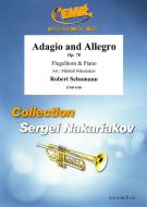 Adagio and Allegro Standard