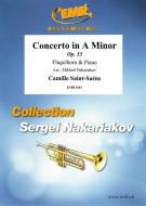 Concerto in A Minor Standard