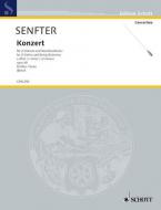 Concerto in C Minor Op. 40 Standard