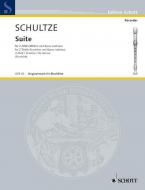 Suite D Minor Standard