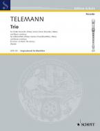 Trio D Minor Standard