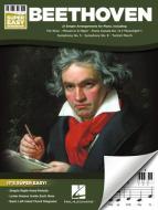 Piano Sonata No. 19, First Movement 