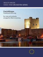 Carrickfergus 
