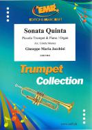 Sonata Quinta Standard