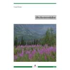 Orchesteretüden 