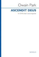 Ascendit Deus 