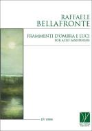 Frammenti d'ombra e luci 