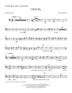 I Will Fly (Full Orchestration) 
