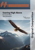 Soaring High Above 