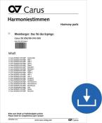 Das Tal des Espingo op. 50 Download