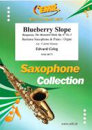 Blueberry Slope op. 67 No. 3 