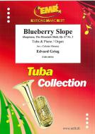 Blueberry Slope op. 67 No. 3 
