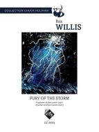Fury of the Storm 