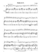 Studi selezionati 2 