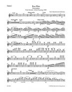 Ruy Blas op. 95 