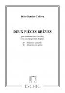 2 Pièces Brèves 