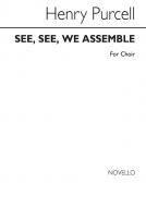 See, See, We Assemble 