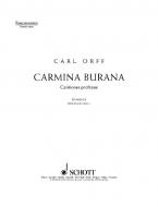 Carmina Burana Standard