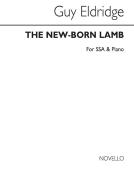 New Born Lamb 