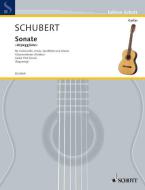 Sonata Arpeggione A Minor D 821 Standard