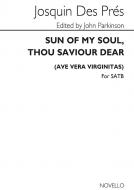 Sun Of My Soul 