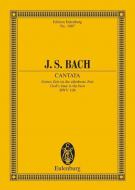 Cantata No. 106 (Actus Tragicus) BWV 106 Standard