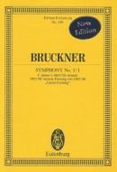 Symphony No. 1/1 C Minor 