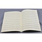 Kopistenpapier Din A4 hoch (21 x 29,7) 10 Systeme, weiter Abstand 