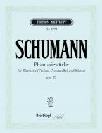 Fantasia op. 73 