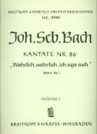 Wahrlich, wahrlich, ich sage euch 