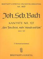 Herr Jesu Christ, wahr' Mensch und Gott 