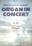 Adagio from Sonata C sharp minor (Moonlight) 