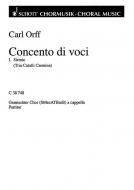 Concento di voci Standard