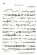 Symphony D Major Op. 18/4 Standard