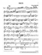 Concerto D Major Op. 7/11 RV 208 / PV 151 Standard